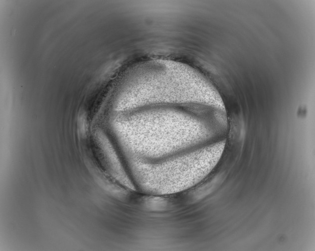 X0000089970287200707202017