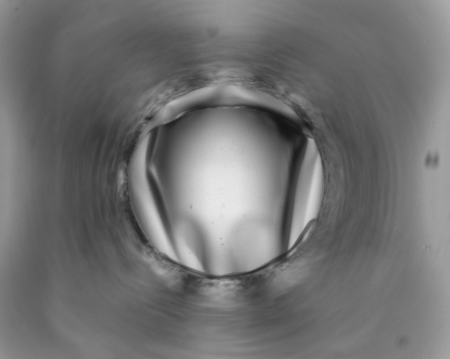 X0000089970288200707202017