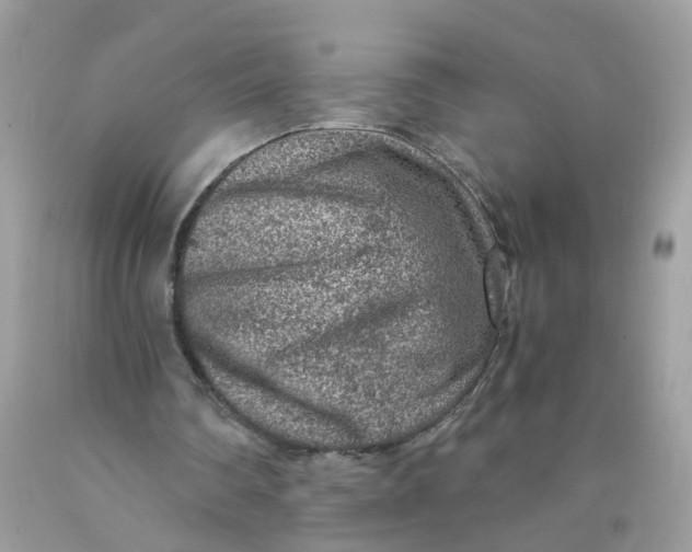 X0000089970290200707202017