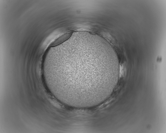 X0000089970291200707202017