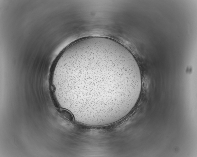 X0000089970292200707202017