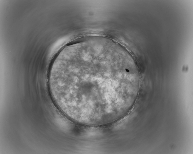 X0000089970293200707202016