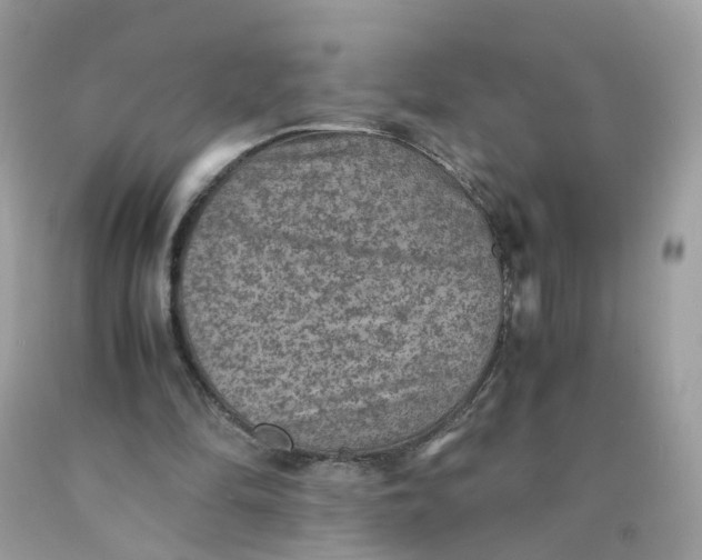 X0000089970294200707202016