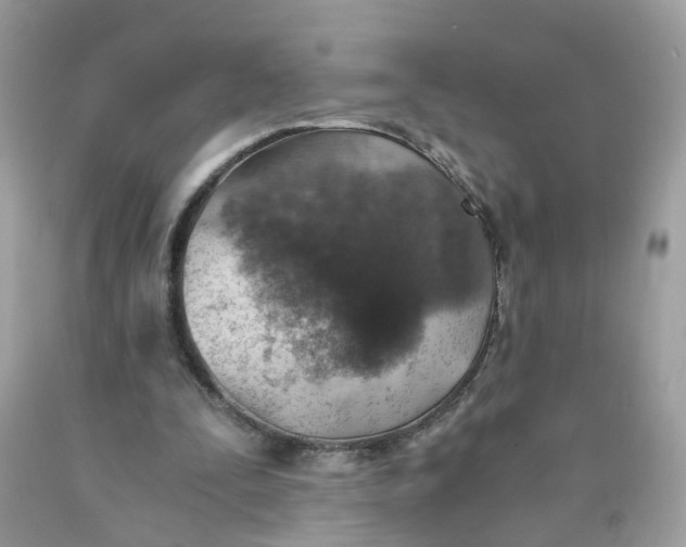 X0000089970295200707202016