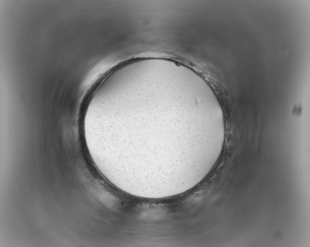 X0000089970296200707202016