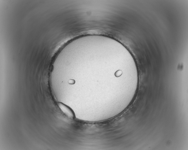 X0000089970297200707202016