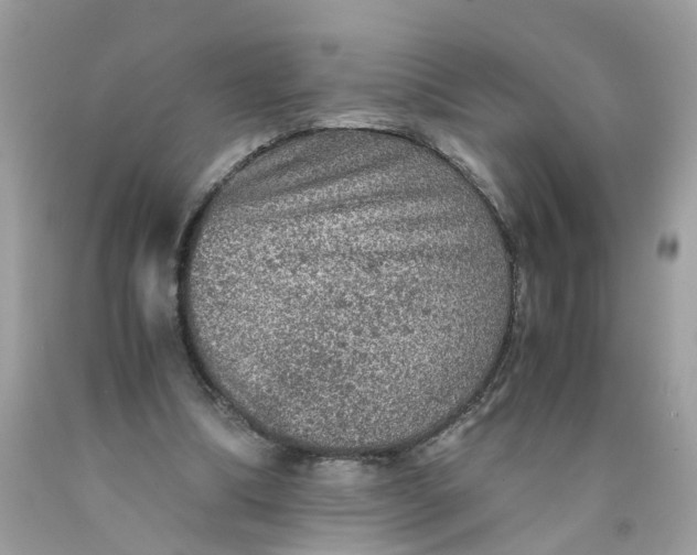 X0000089970298200707202016