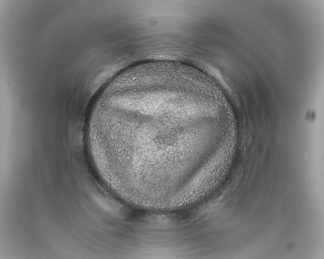 X0000089970299200707202016