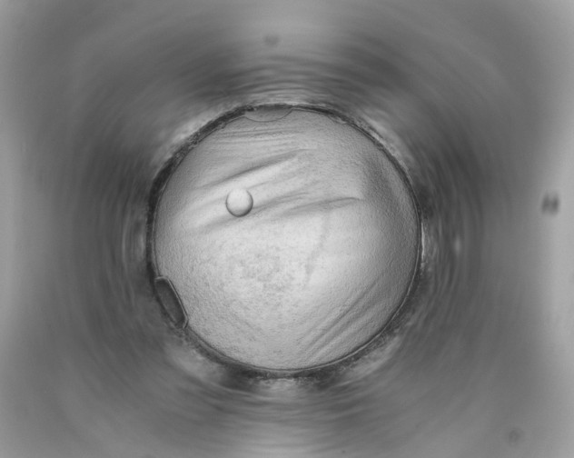 X0000089970301200707202016