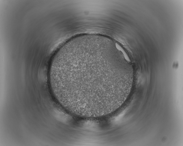 X0000089970303200707202016