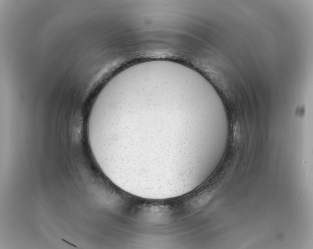 X0000089970304200707202016