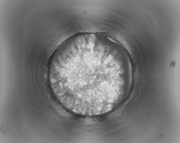 X0000089970305200707202016