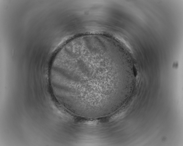 X0000089970306200707202016