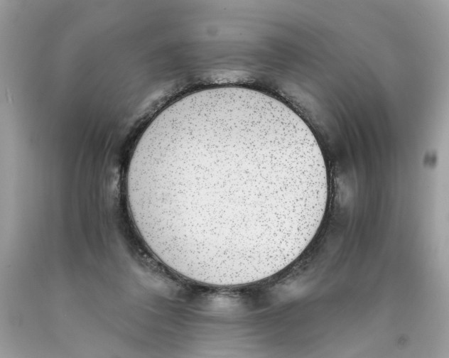 X0000089970308200707202016