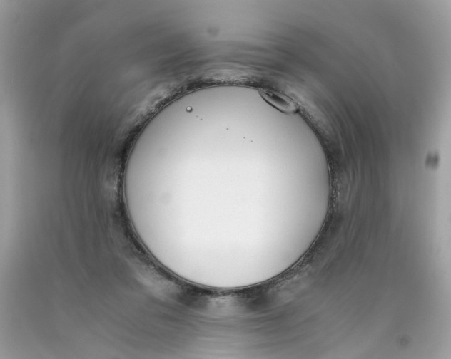 X0000089970309200707202016