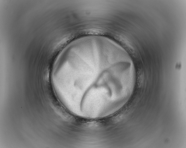 X0000089970310200707202016