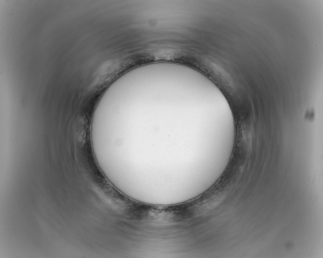 X0000089970311200707202016