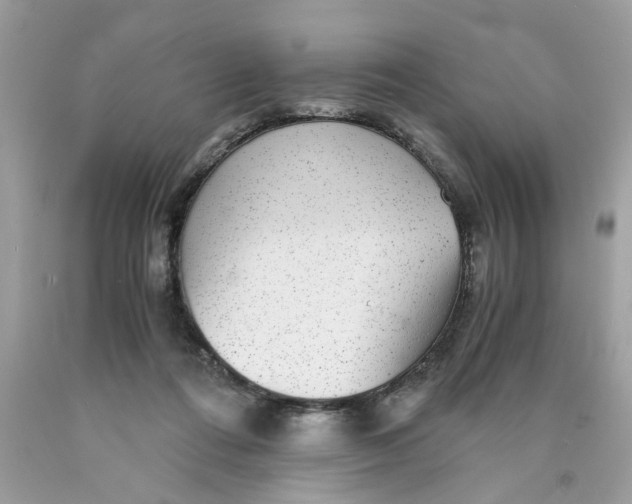 X0000089970312200707202016