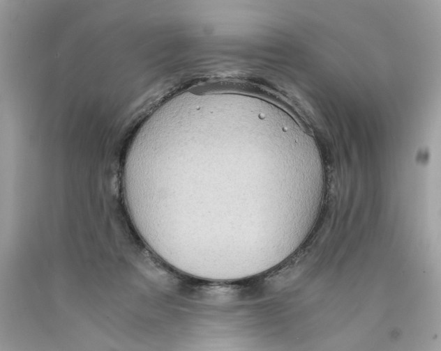 X0000089970313200707202016