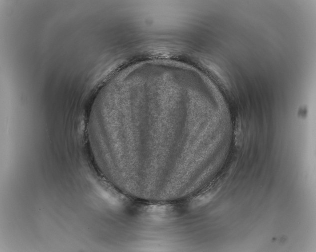 X0000089970314200707202016