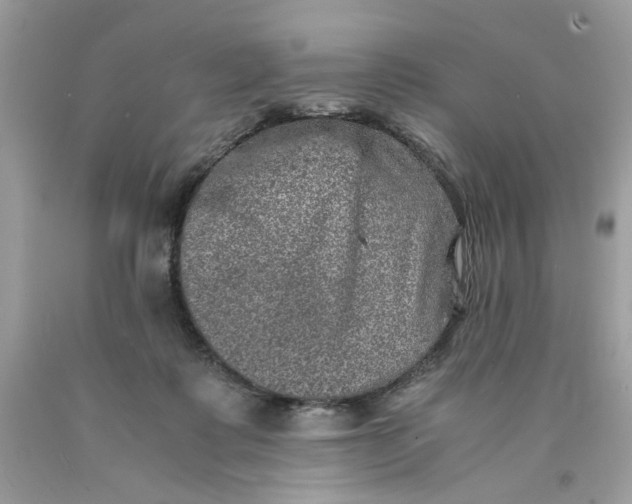 X0000089970315200707202016