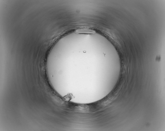 X0000089970317200707202016