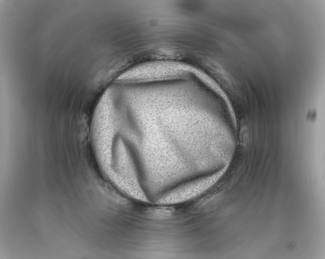 X0000089970318200707202016