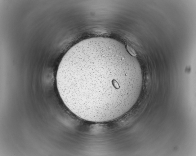 X0000089970320200707202016