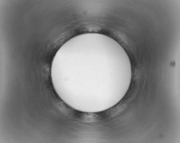 X0000089970321200707202016