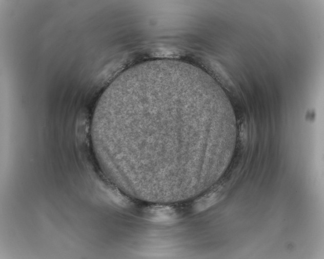 X0000089970322200707202016