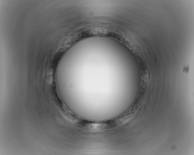 X0000089970323200707202016