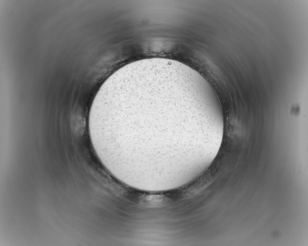 X0000089970324200707202016