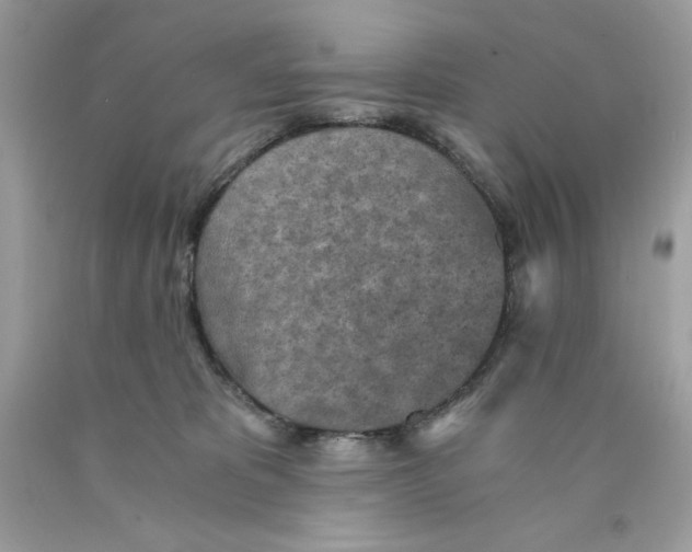 X0000089970325200707202016