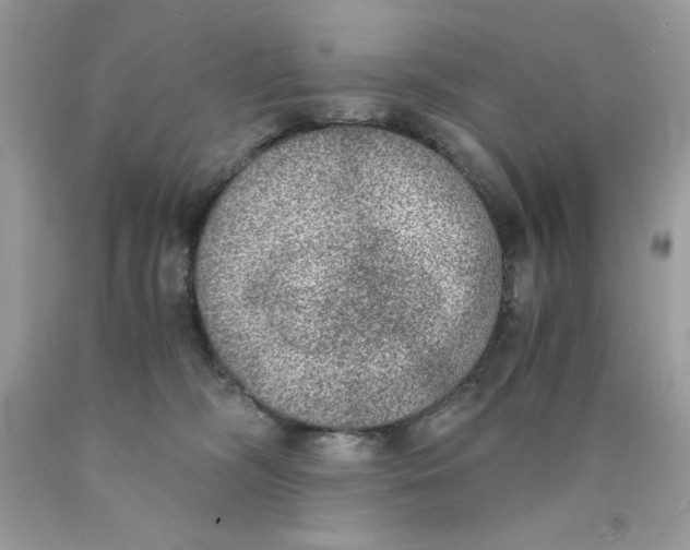 X0000089970326200707202016