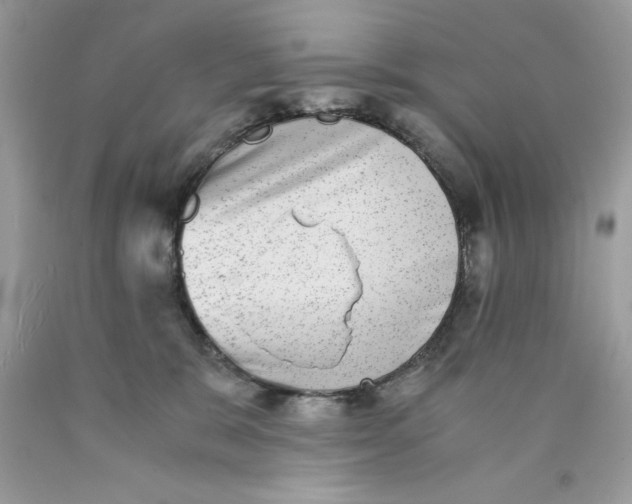 X0000089970327200707202016