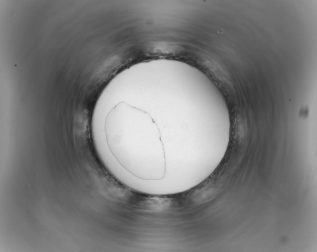 X0000089970328200707202016