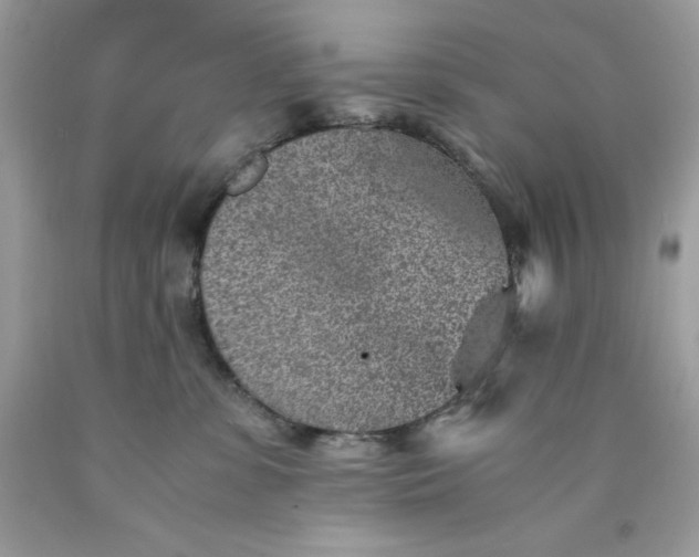 X0000089970331200707202016