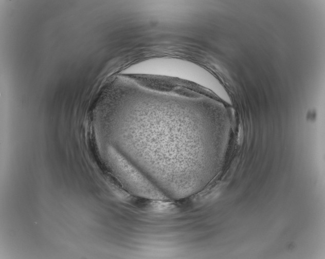 X0000089970333200707202016