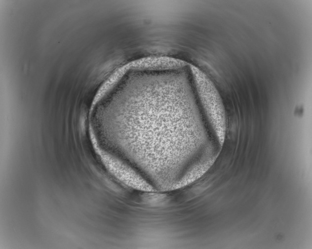 X0000089970334200707202016