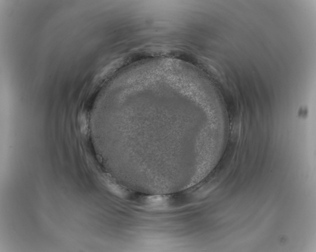 X0000089970335200707202016