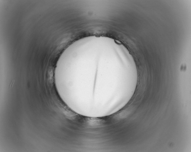 X0000089970336200707202016