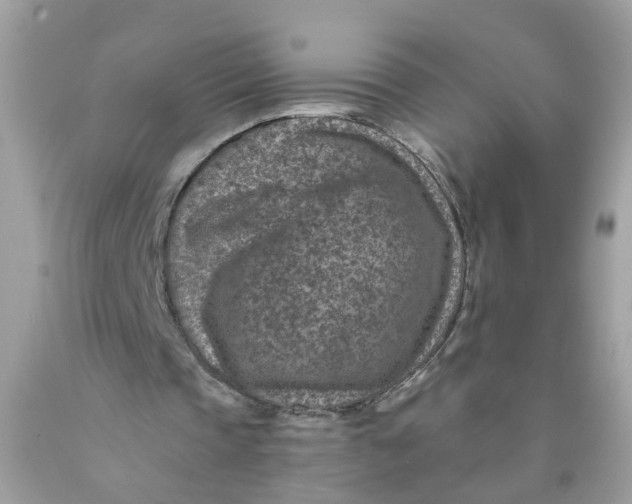 X0000089970337200707202015