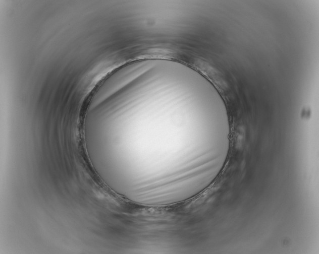 X0000089970338200707202015