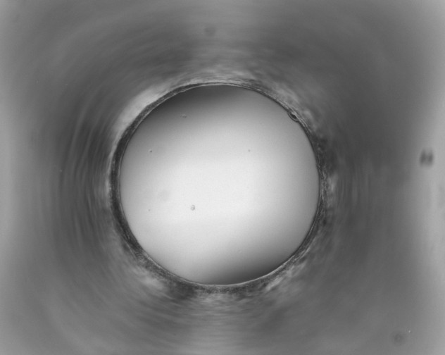 X0000089970340200707202015