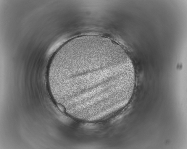 X0000089970341200707202015