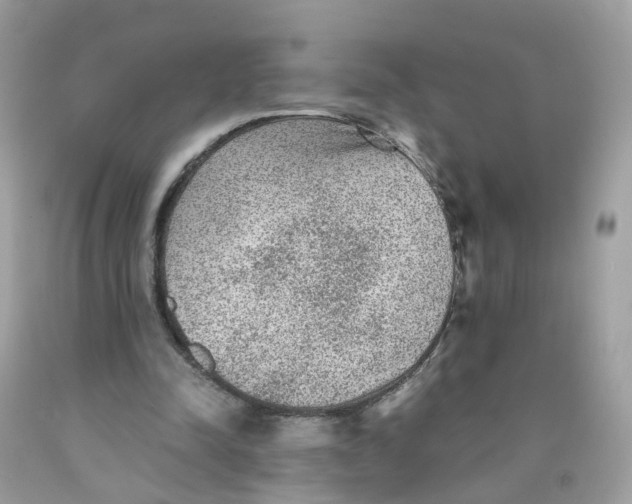 X0000089970342200707202015