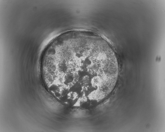 X0000089970343200707202015