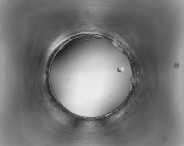 X0000089970344200707202015