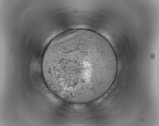 X0000089970345200707202015