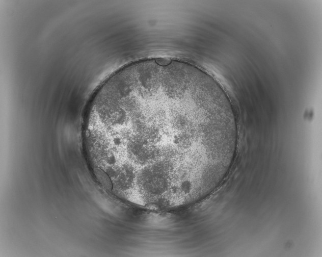 X0000089970346200707202015